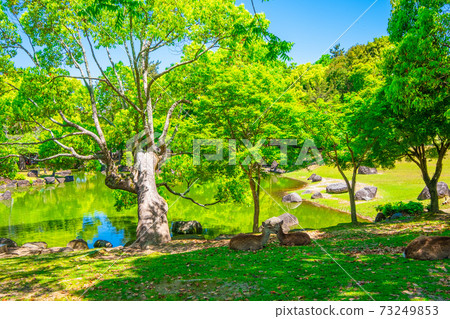 奈良公園新綠 奈良公園新綠 73249853