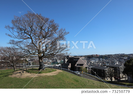 View from Shimizugaoka Park (Minami-ku, Yokohama) 73250779