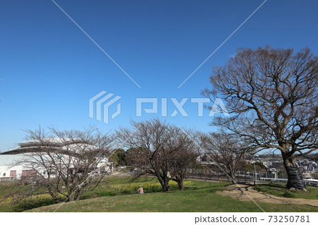 View from Shimizugaoka Park (Minami-ku, Yokohama) View from Shimizugaoka Park (Minami-ku, Yokohama) 73250781