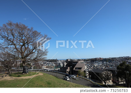 清水丘公園（橫濱市南區）的景色 73250783