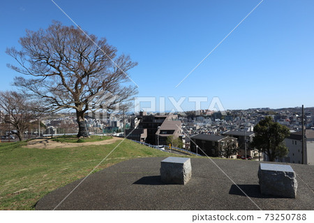View from Shimizugaoka Park (Minami-ku, Yokohama) View from Shimizugaoka Park (Minami-ku, Yokohama) 73250788