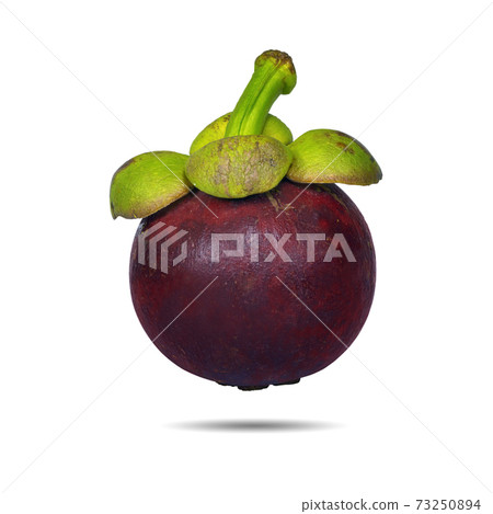 Mangosteen isolated Mangosteen isolated 73250894