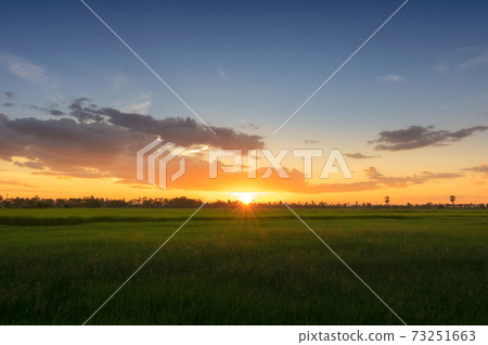 Stunning evening sunset sky 73251663