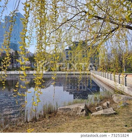 Michuhol Park Willow Michuhol Park Willow 73251824