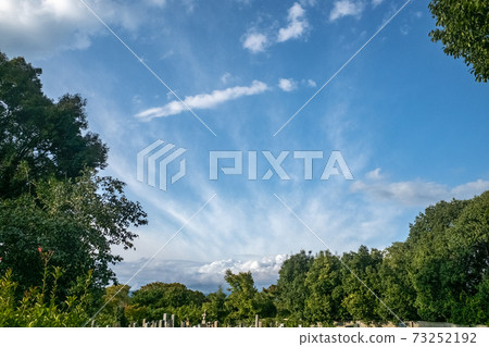 京都高台寺的風景 京都高台寺的風景 73252192