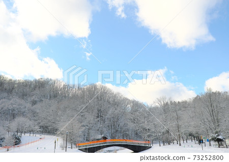 Beautiful winter park 73252800