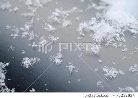 雪花 73252924