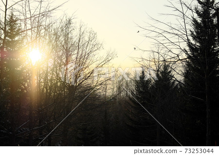 Beautiful winter sunset 73253044