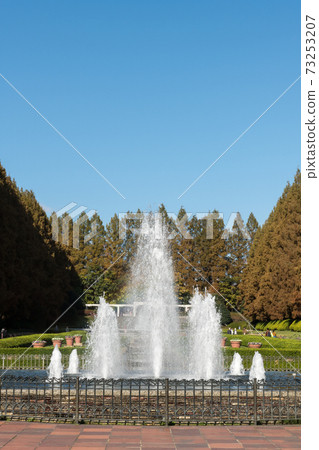 相模原公園/噴泉 73253207