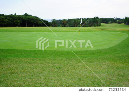 golf course golf course 73253584
