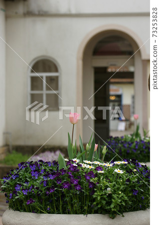 四季走春德國森林 73253828