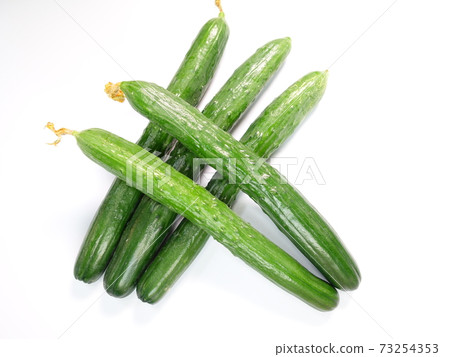 cucumber cucumber 73254353