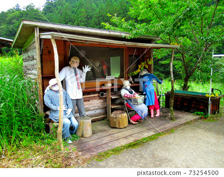 Village in the sky, scenery of Kakashi no Sato, Shikoku, Miyoshi City, Tokushima Prefecture, Nagoro Village (2) 73254500
