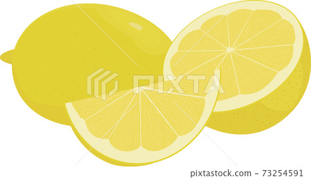 Fresh lemons, yellow  lime fruit vector illustration 73254591