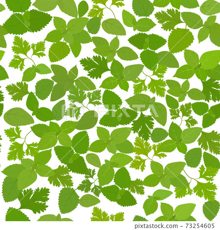 pattern with fresh mint, parsley, basil seamless  73254605