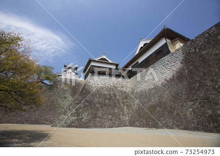 熊本城和本丸宮 熊本城和本丸宮 73254973