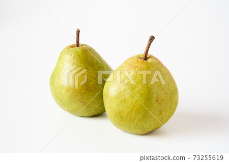 拉法國西洋梨在白色背景上 73255619