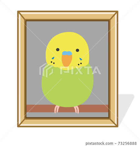 Photo frame of pet's remains (parrot) Illustration 73256888