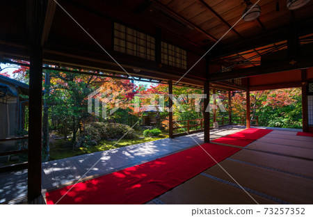 Autumn leaves of Daiho-in Temple, the tower temple of Myoshinji Temple in Kyoto 73257352