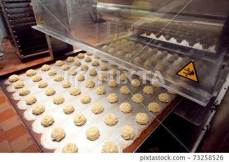 A tray of ready-made cookies is taken from the conveyor belt in the bakery A tray of ready-made cookies is taken from the conveyor belt in the bakery 73258526