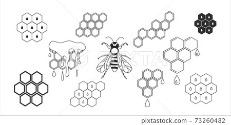 Vector icons illustration  honeycomb and bee isolated on white background. 73260482