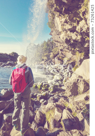 New Zealand waterfall 73261425