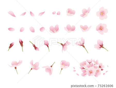 櫻花插圖素材設計零件各種角度（顏色，無線條，白色背景） 73261606