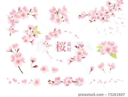 櫻花插圖素材一分,裝飾,設計零件(彩色,無線條,白色背景) 櫻花插圖素材一分,裝飾,設計零件(彩色,無線條,白色背景) 73261607