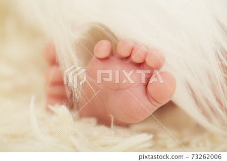 newborn's feet closeup 73262006