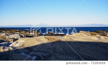 Winter in Jogashima, Miura City, Kanagawa Prefecture, on the Shonan Miura Peninsula 73262656