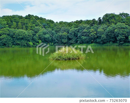 A small island near the Hashihaka Kofun, which is like a snuggle 73263070
