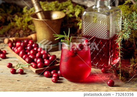 Cranberry cocktail with natural ice and rosemary in frozen glass. 73263356