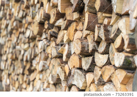 Preparation of firewood for the winter season Preparation of firewood for the winter season 73263391