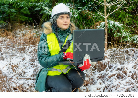 Woman forest scientist using laptop near spruces 73263395