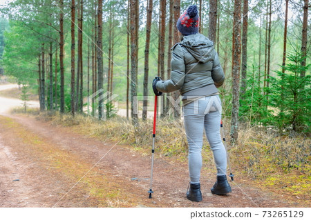 Woman with walking sticks on forest trail Woman with walking sticks on forest trail 73265129