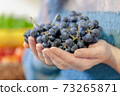 Woman holds bunches of grapes in her hands 73265871