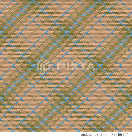 Tartan plaid seamless pattern. Color textile background. Flannel shirts. Vector illustration for wallpapers, fabric, cage. 73266165