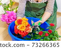 Woman cutting roses in bowl with water 73266365
