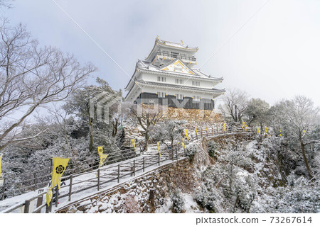 Gifu Castle 73267614