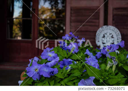 Western-style building and gardening 73268071