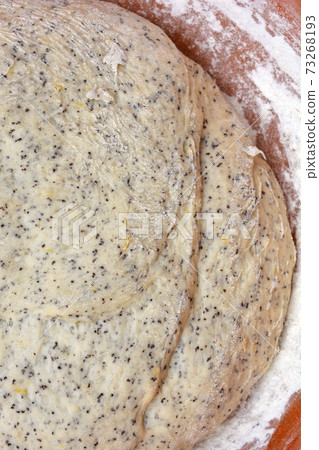 Raw yeast dough 73268193