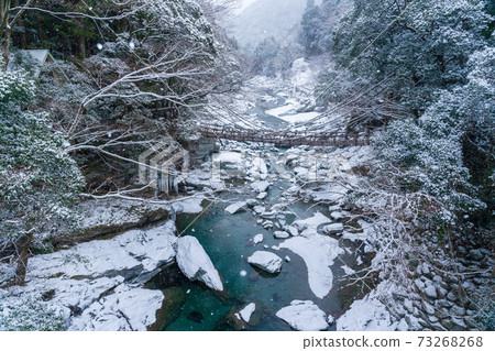 Kazura Bridge at Iya Snowscape 73268268