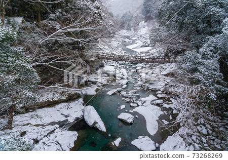 Kazura Bridge at Iya Snowscape 73268269