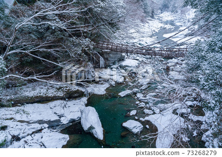 Kazura Bridge at Iya Snowscape 73268279