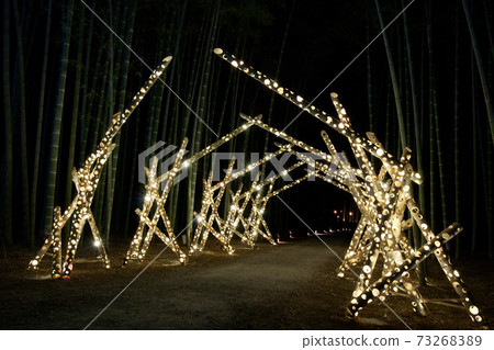 Utsunomiya City Wakayama Farm Bamboo Forest Illumination Utsunomiya City Wakayama Farm Bamboo Forest Illumination 73268389