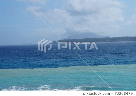 Niijima Niijima 73268479