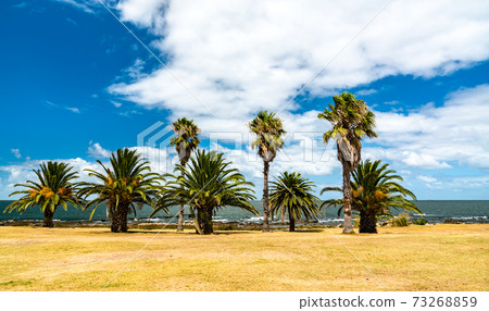 Waterfront of Rodo park in Montevideo, Uruguay 73268859