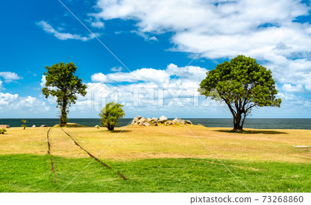 Remains of railway tracks in Montevideo, Uruguay 73268860