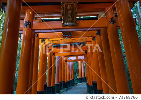 伏見稻荷神社Torii Torii 伏見稻荷神社Torii Torii 73269760