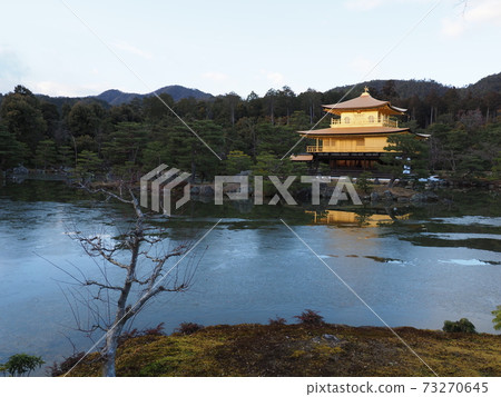 Kinkakuji Temple in winter at dusk, the replacement of the thatched roof is completed 73270645